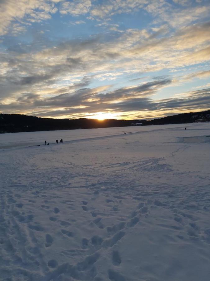 Apartmán 12 Lipno nad Vltavou Exteriér fotografie