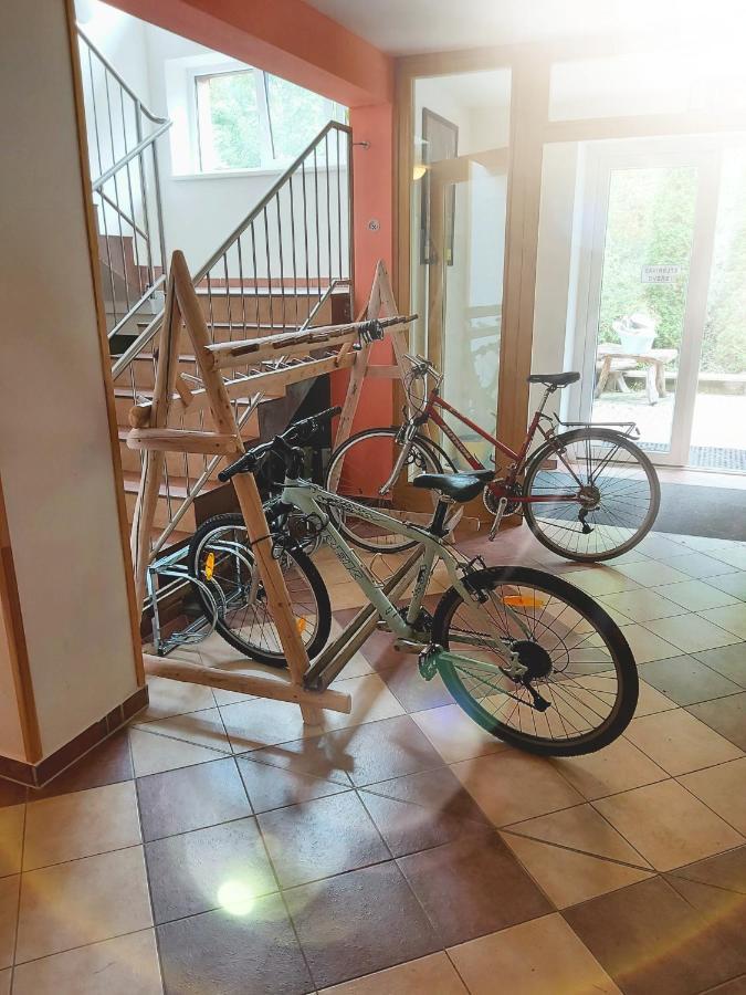 Apartmán 12 Lipno nad Vltavou Exteriér fotografie