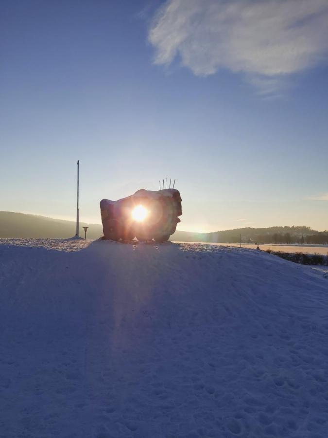 Apartmán 12 Lipno nad Vltavou Exteriér fotografie