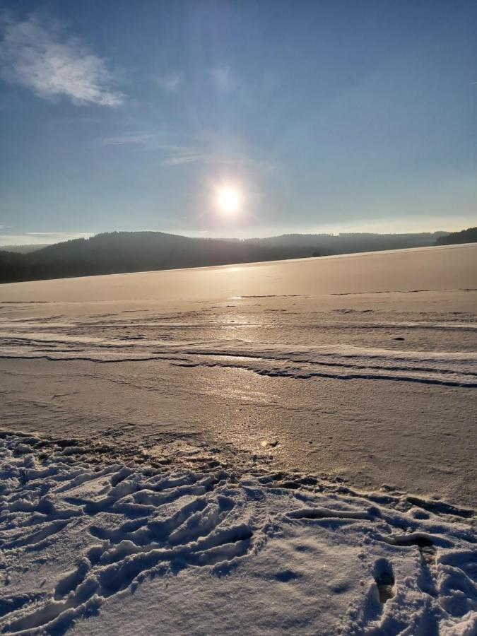 Apartmán 12 Lipno nad Vltavou Exteriér fotografie